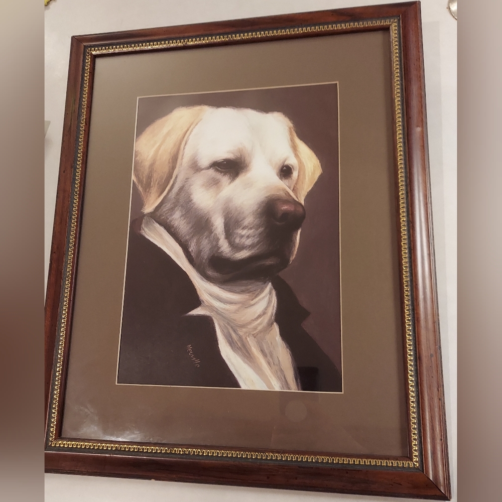 Yellow Lab Framed Print